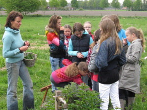 proeven-en-ruiken-IMG_3593-1024x768